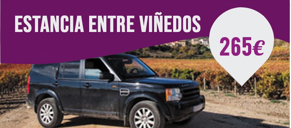 Egonaldia Mahasti Artean La Molinera Etxean